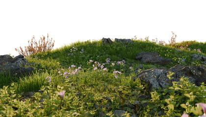 Verdant Hill Blooming with Yellow Flowers in Spring. 3D render.