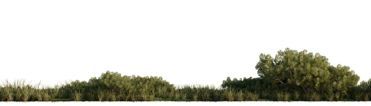 Lush green trees and grass on a transparent background. 3D rendering.