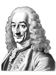 Voltaire, generative AI