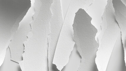3d rendering, messy torn blank paper pieces isolated on white background. Abstract minimalist wallpaper