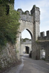 Obraz premium Gwrych Castle: Welsh Medieval Fortress and Picturesque Ruins