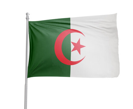 Algeria national flag on white background.