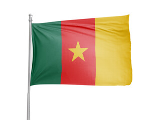 Cameroon national flag on white background.