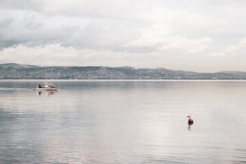 Izmit Korfezi, Izmit, Kocaeli, Turkey - January 9th 2024: Bay ballet, in which seagulls pause and...