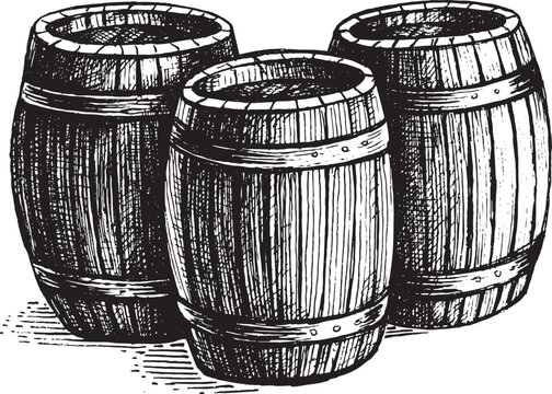 Wooden barrels vector illustration. Vintage graphics and handwork