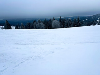 tracks, track for cross-country skiers in a snowy landscape, winter sports in the snow