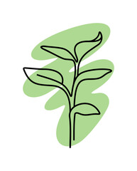 Linear small tree growing graphic design. Line art illustration young sprout on transparent background