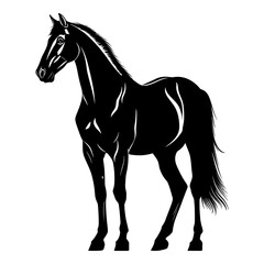 Obraz na płótnie Canvas Silhouette horse full body black color only