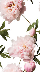 seamless background of beautiful delicate flowers of pink peonies, spring gift, holiday of spring and flowering
