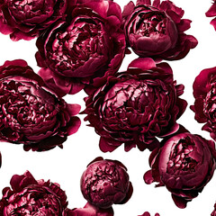 seamless background of beautiful bright flowers of burgundy lush peonies, spring gift, holiday of spring and flowering, cut out