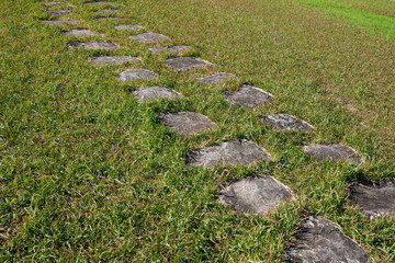 野原に続く石の道
