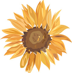Sunflower watercolor illustration on transparent background.
