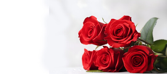 Beautiful red roses on white background, closeup. Space for text