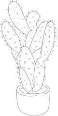 Hand drawn cactus illustration, Transparent background