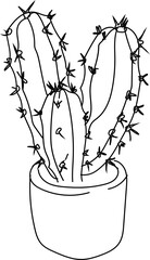 Hand drawn cactus illustration, Transparent background