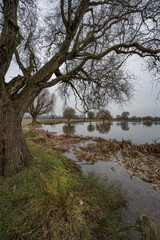 Obraz premium Winter scene by the pond