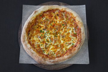 Hot pizza with mozzarella cheese and green basil close-up