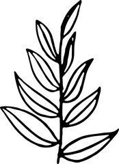 Hand drawn leaves illustration, Transparent background	