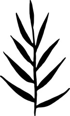 Hand drawn leaves illustration, Transparent background	