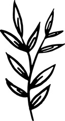 Hand drawn leaves illustration, Transparent background	