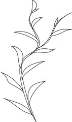 Hand drawn leaves illustration, Transparent background	