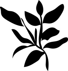 Hand drawn leaves illustration, Transparent background	