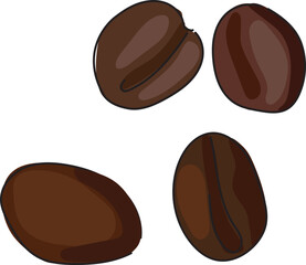 Hand drawn coffee beans illustration on transparent background.
