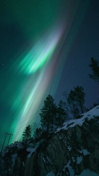 The moment an aurora starts dancing above a hill with silhouettes of trees and power lines.