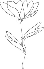 One line drawing floral illustration on transparent background.
