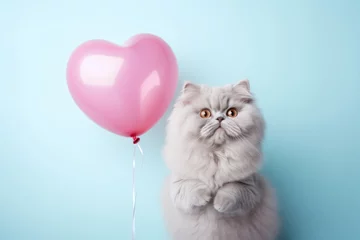 Poster Fluffy Cat with pink heart shaped balloon on pastel blue background. Close up of funny gray. Fluffy cat. For Valentine's Day, birthday, pet shop concept © Milan