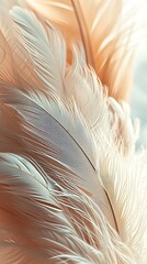 A macro photograph highlighting the intricate patterns of light feathers