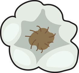 Vegetable illustration on transparent background.
