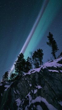 Aurora starting to form above a snowy hill with silhouettes of trees.
