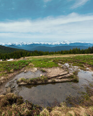 Fototapeta premium Spring Carpathian mountains landscape with snow-covered tops of Chornohora ridge in far, Ukraine. Fenced farming area with water spring and drinker.