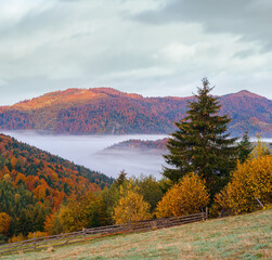 Cloudy and foggy autumn mountain early morning pre sunrise scene. Ukraine, Carpathian Mountains, Transcarpathia.