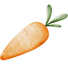 Carrot watercolor for Easter Day 