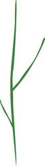 Fototapeta na wymiar Trees silhouette green illustration on transparent background. 