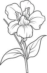 Daffodil flower hand-drawn vector sketch flowers coloring page