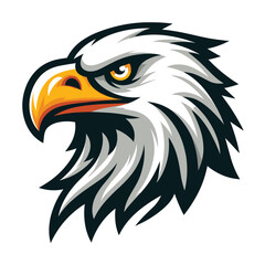 Fototapeta premium bird eagle hawk head logo mascot design vector illustration isolated on white background