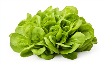 Obraz premium Mache (Lamb's Lettuce) isolated on white background created with Generative Ai