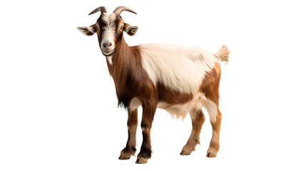 A majestic goatantelope with powerful horns stands tall in the wild, showcasing its feral beauty as a symbol of strength and resilience in the animal kingdom