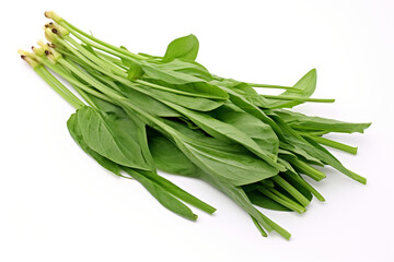 Water Spinach (Kangkong) isolated on white background created with Generative Ai