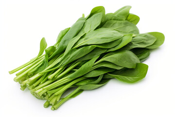 Water Spinach (Kangkong) isolated on white background created with Generative Ai