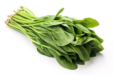 Water Spinach (Kangkong) isolated on white background created with Generative Ai