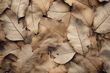 texture of dried leaves with cracks top view. 