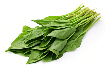 Water Spinach (Kangkong) isolated on white background created with Generative Ai