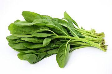 Water Spinach (Kangkong) isolated on white background created with Generative Ai