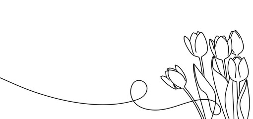 Continuous one line drawing of beautiful spring flowers graphic design. Single line art illustration bouquet of tulips on transparent background