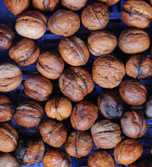 Organic, natural agriculture in the garden of the village house. Hard-shelled walnut fruit from the Juglans regia L. family. Photo of a lot of brown shelled walnuts and nuts in a large chest, basket.