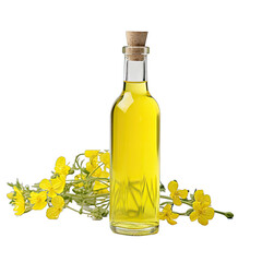 A Bottle of Light Canola Oil.. Isolated on a Transparent Background. Cutout PNG.